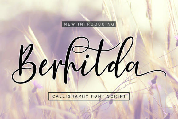 Berhilda: A Practical Tool for Creators and Professionals