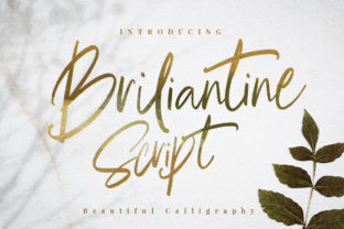 Briliantine Script in Modern Design