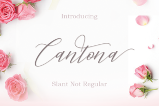 Cantona: A Fresh Direction for Graphic Design