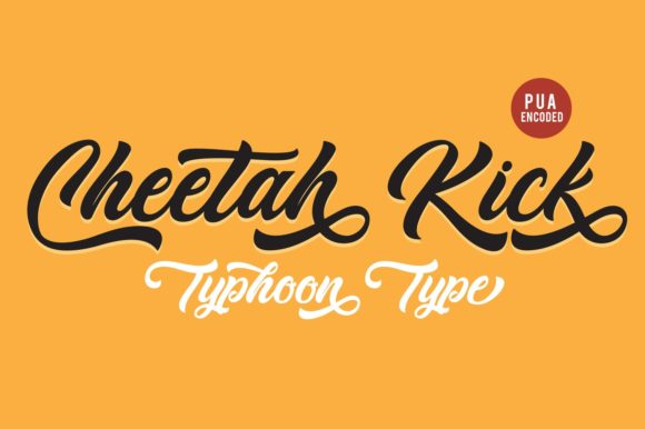 Cheetah Kick: A Balanced Evaluation of This Explosive Lower-Body Movement
