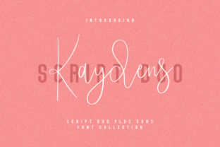 Kaydens Duo: A Practical Look at Its Unique Approach and How It Compares with Alternatives