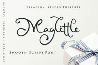 Maglittle: Redefining Precision in Magnetic Technology