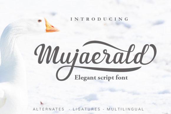 Mujaerald for Modern Visual Design