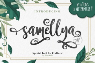Samellya: A Practical Guide to Taming Your Digital Workload