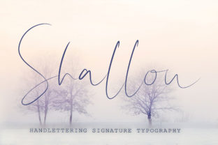 Shallou Script: A Versatile Typeface for Real-World Creative and Professional Use