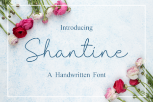 Shantine: A Practical Resource for Professionals and Creators