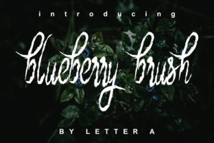 The Blueberry Brush: A Simple Tool for Effortless Fruit Cleaning