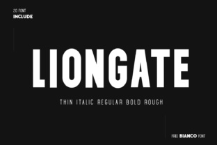 Understanding Liongate: Your Practical Guide to the 8/8 Portal