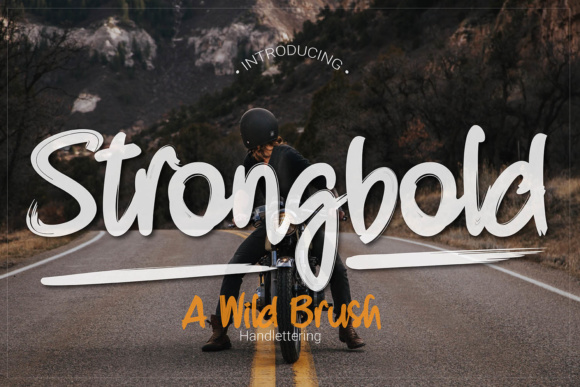 What Is Strongbold and Who Is It For?